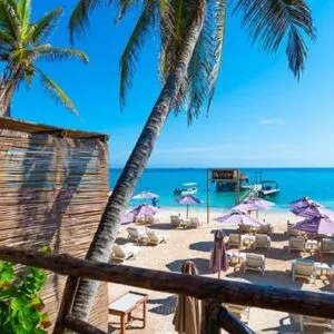 Luxury Island Open Bar Area Beach (Day Tour)