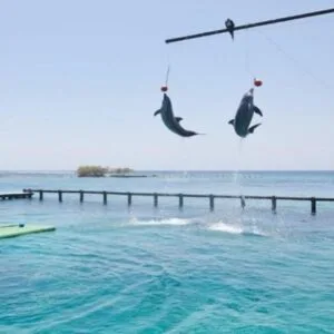 Playa Blanca Barú - Transporte Terrestre + Islas Del Rosario