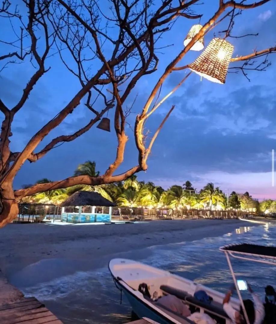 Fénix Beach Club (Day Tour) - Imagen 5